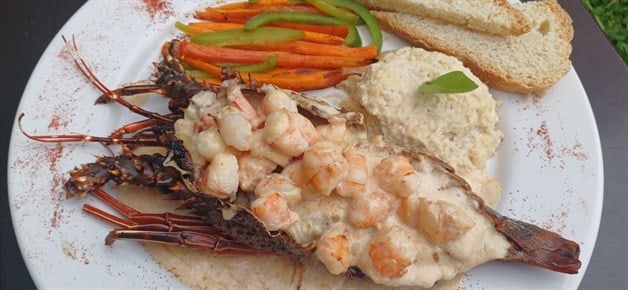 Imagen Placeholder Imagen Placeholder