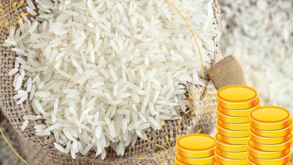 Rituales de Año Nuevo con Arroz para un 2024 lleno de Dinero