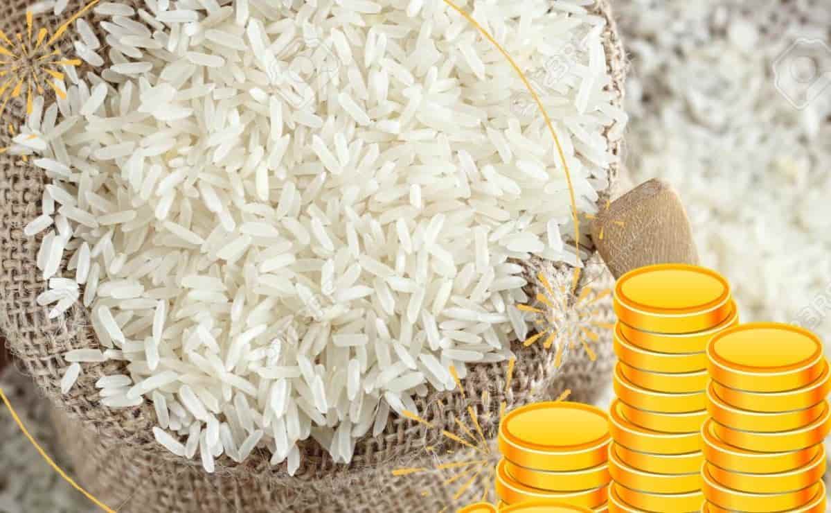Rituales de Año Nuevo con Arroz para un 2024 lleno de Dinero