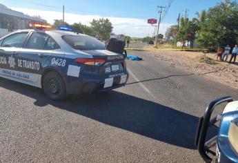 Muere pintor atropellado en el sector sur de Culiacán