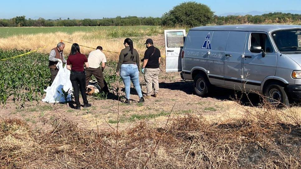 Encintado de la cabeza a los pies localizan a persona sin vida en Guasave