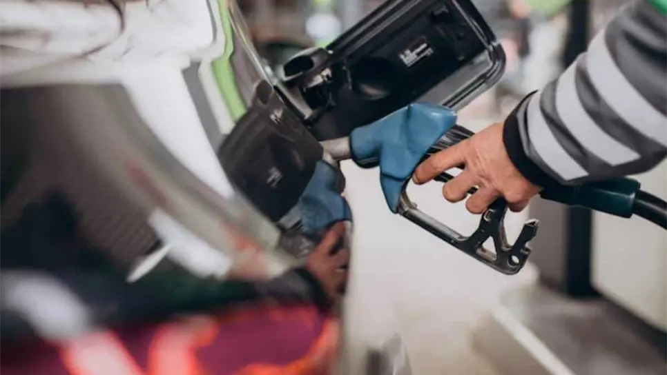 FOTO: Cortesía/FreePik.