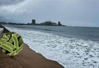 Cofepris detecta en esta playa de Sinaloa bacterias de heces y no recomienda bañarse