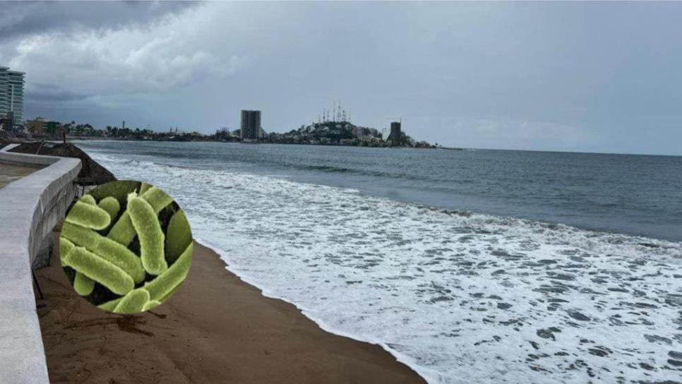 Cofepris detecta en esta playa de Sinaloa bacterias de heces y no recomienda bañarse