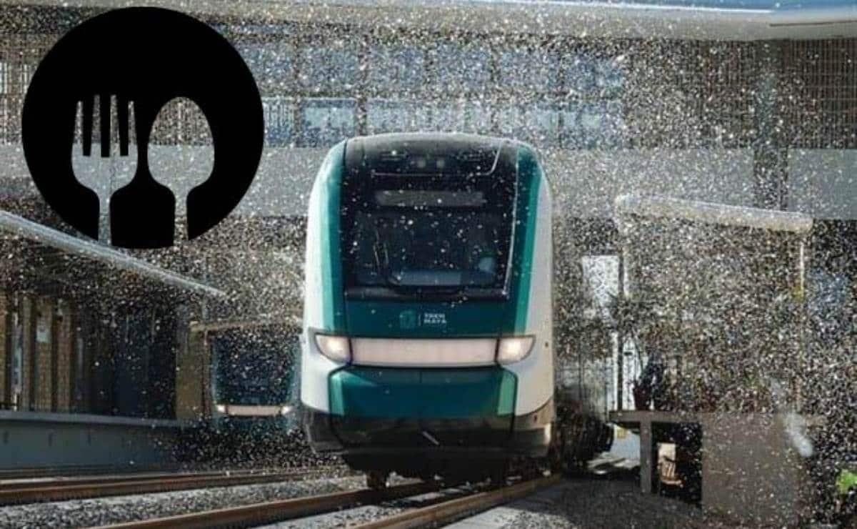 Menú del Tren Maya: qué comer y cuánto cuesta la comida en el transporte de moda en México