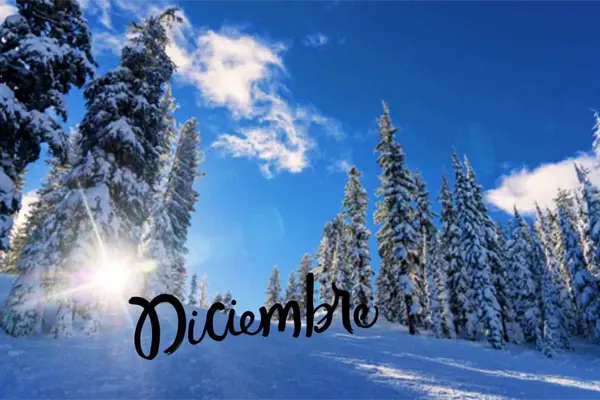 ¿Cuándo es la noche más larga del año?, este día será el solsticio de invierno ¿Cuándo es la noche más larga del año?, este día será el solsticio de invierno