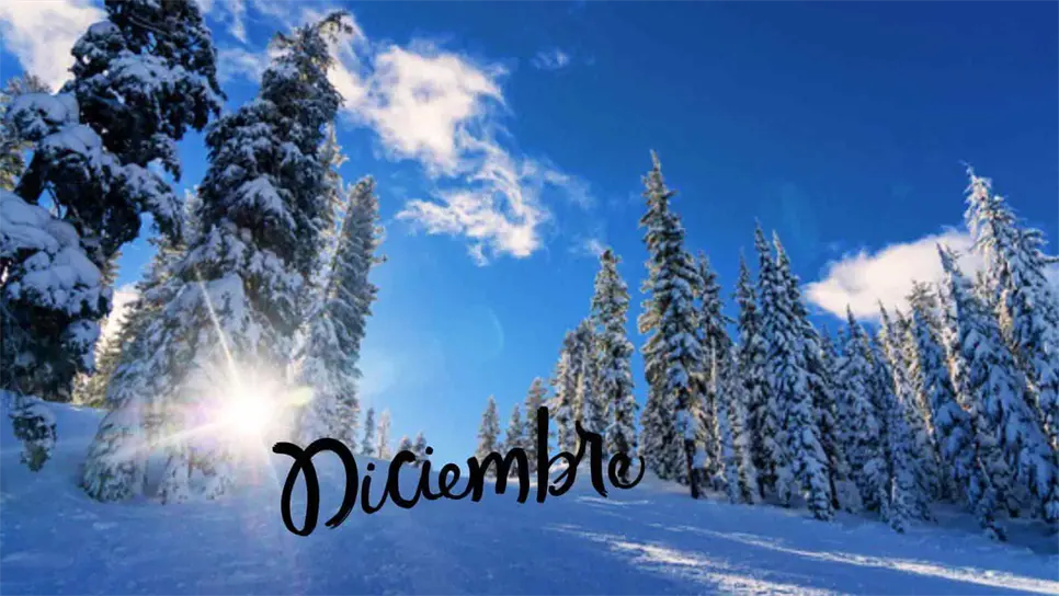 ¿Cuándo es la noche más larga del año?, este día será el solsticio de invierno.