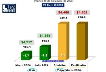 Ataques a buques de carga ponen en riesgo comercialización de granos en Mar Negro