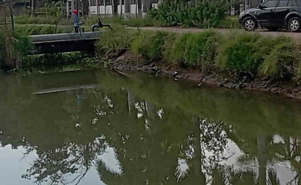 Basura contamina y taponea canales de riego para uso agrícola y consumo humano en Los Mochis 