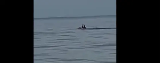 La persona al momento de ser atacado por el tiburón.