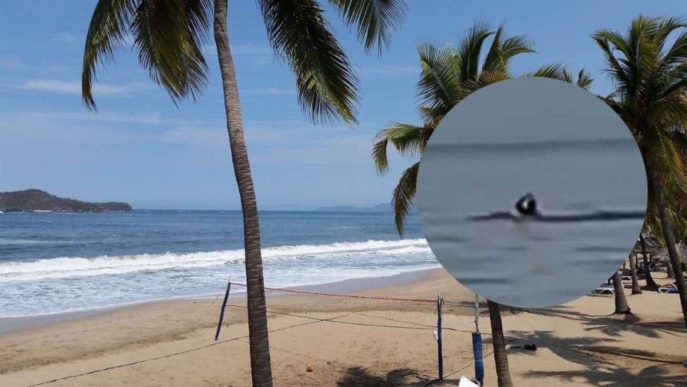 Momento exacto del ataque de tiburón a un turista en playa de México | VIDEO 