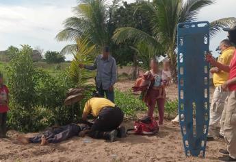 Termina herido de gravedad tras caer del tractor en el que trabajaba en Escuinapa