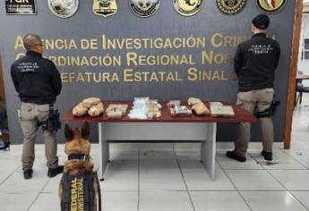 Más de 82 mil pastillas de fentanilo son aseguradas en una paquetería de Culiacán 