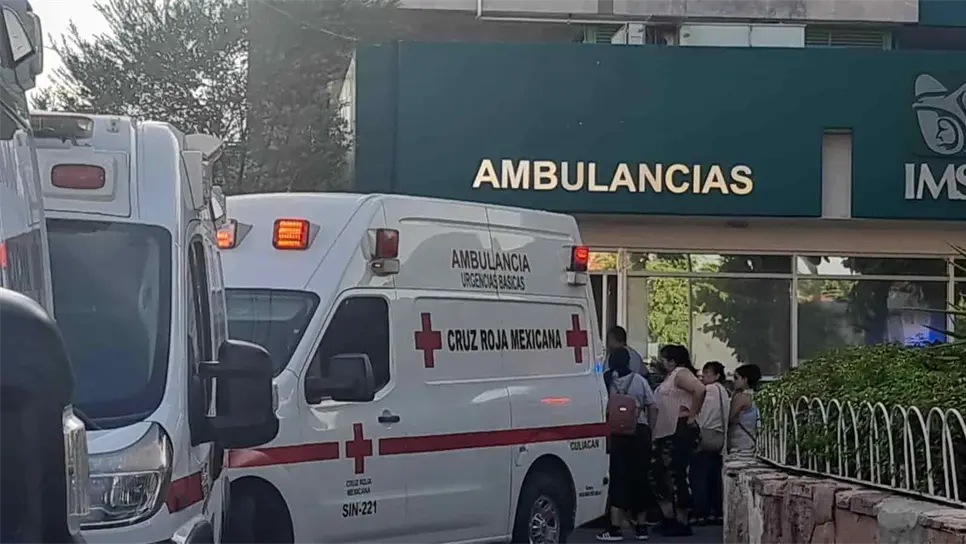 Se explicó que las autoridades acudirian a la zona  de agresión para ubicar al perro y al propietario  de este.