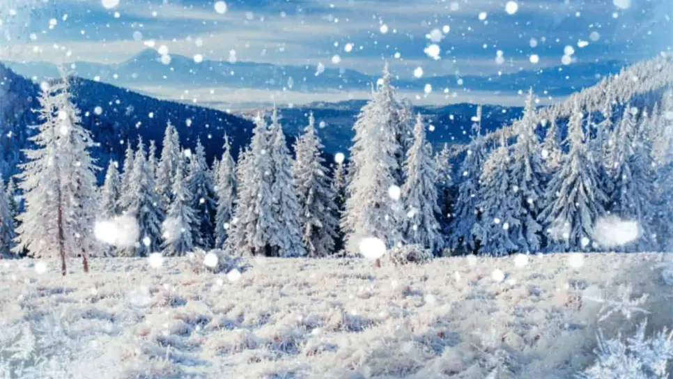 FOTO: Cortesía/euroresidentes.