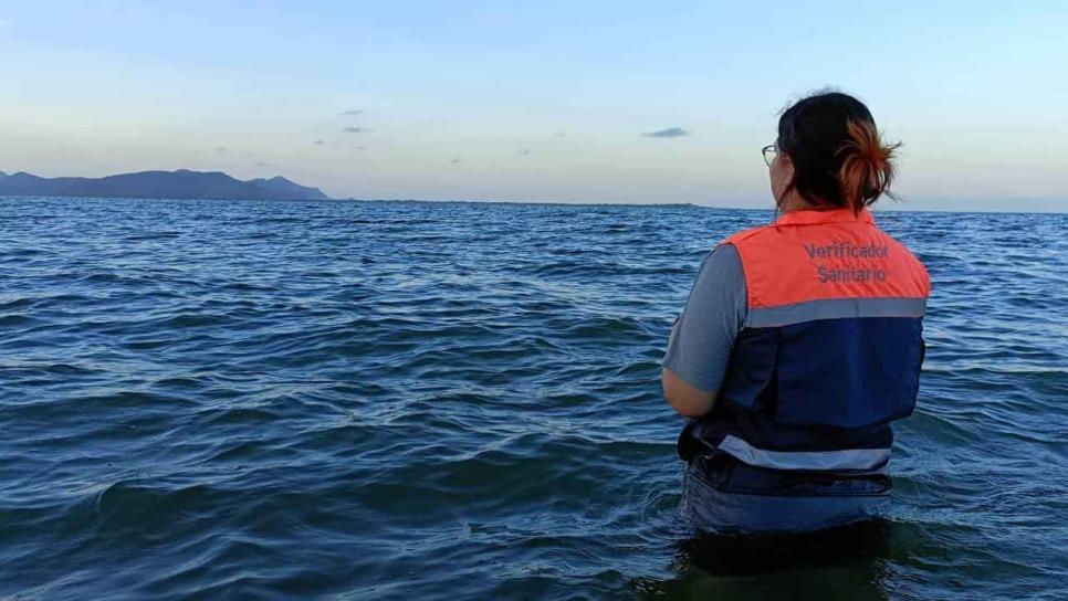 Coepriss: playas de Sinaloa son aptas para bañistas a pesar de contaminación en Olas Altas
