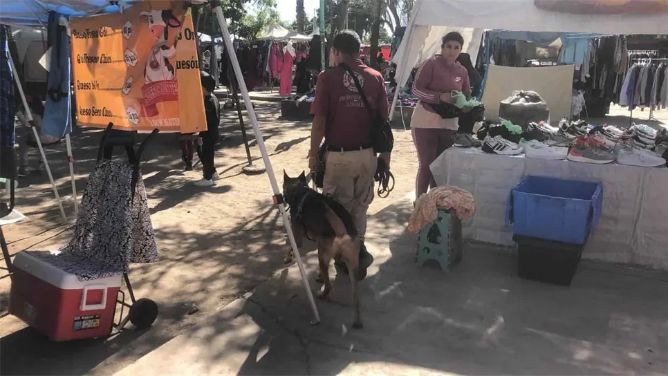 Con perros entrenados buscan pirotecnia en tianguis de Ahome