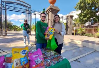¡Navidad para todos! Apoya para que gatitos y perritos tengan felices fiestas