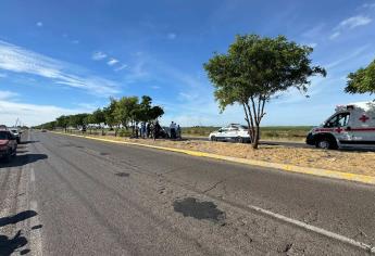 Joven ebria derriba árboles con su vehículo en la carretera Los Mochis - El Fuerte,