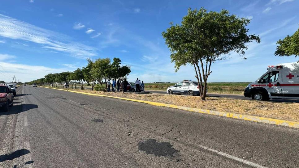 Joven ebria derriba árboles con su vehículo en la carretera Los Mochis - El Fuerte,