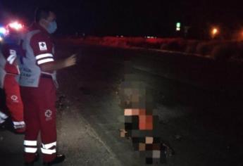 En plena Nochebuena le arrancan la vida a un hombre tras atropellarlo en Guasave