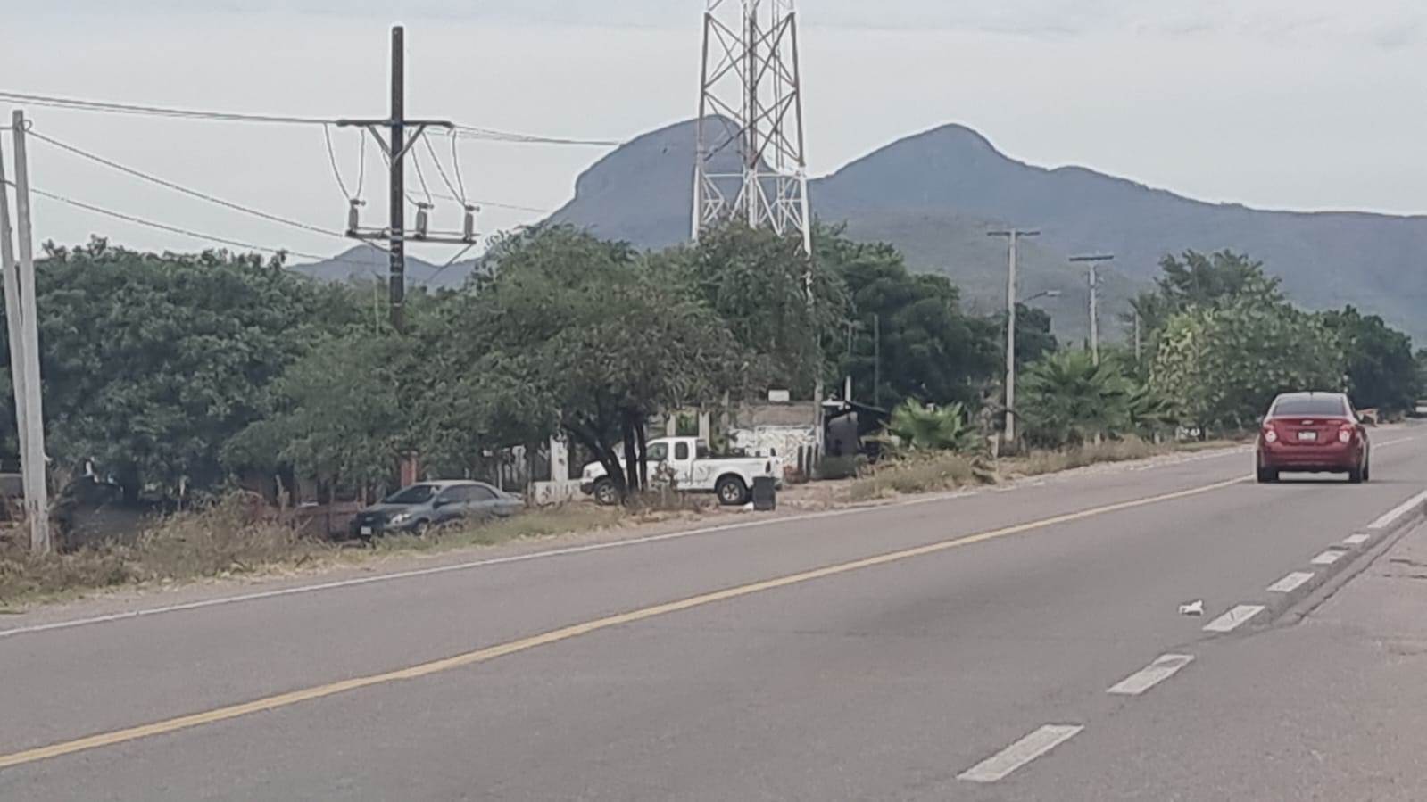 Por el momento los agentes desconocen si fue un accidente o agresión directa.