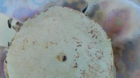 ¡Buenas noticias! Tortilleros del sur de Sinaloa aseguran que en el 2024 no subirá el precio de la tortilla