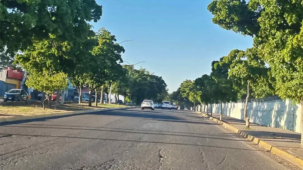 Las autoridades ya los retiraron de la zona. FOTO: Luz Noticias