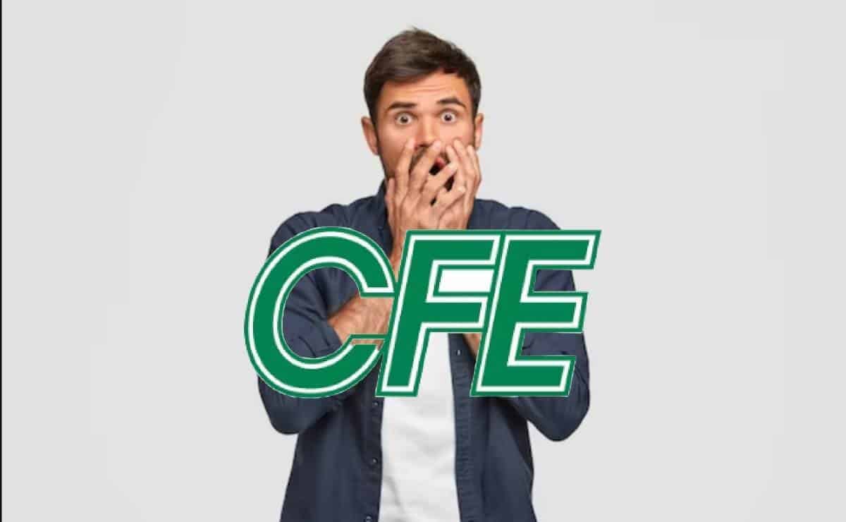 FOTO: Cortesía/FreePik/CFE.