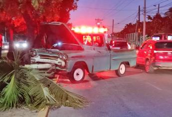Conductor canadiense choca contra una palmera frente al Parque Central de Mazatlán
