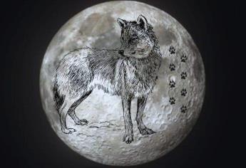 «Luna de Lobo»: cuándo se mirará este 2024 y qué significa