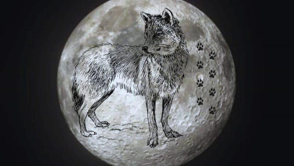 «Luna de Lobo»: cuándo se mirará este 2024 y qué significa