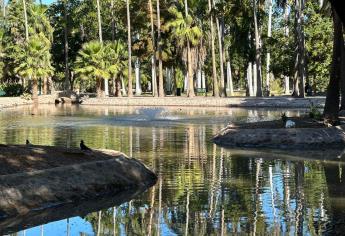 Parque Sinaloa: ¿Qué futuro aguarda tras la partida de sus emblemáticos patos y tortugas?