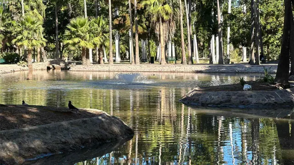 Parque Sinaloa: ¿Qué futuro aguarda tras la partida de sus emblemáticos patos y tortugas?