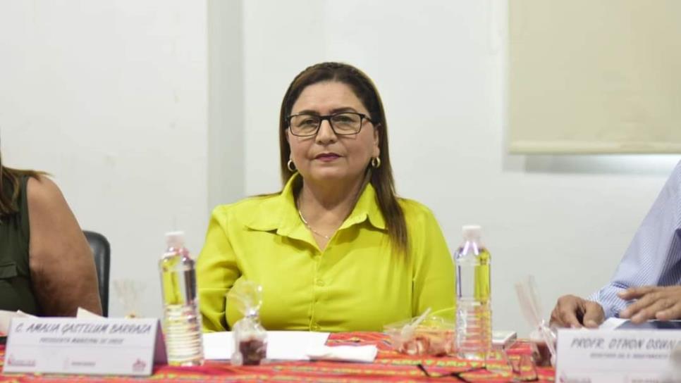 Amalia Gastélum Barraza busca reelegirse en Choix con apoyo de Morena