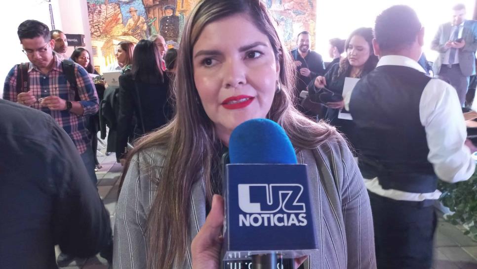 «Asumo la decisión de Morena para la diputación»: Merary Villegas