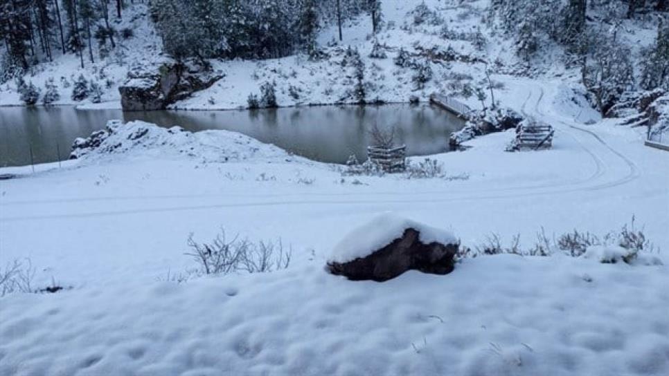 Frente frío número 25 y cuarta tormenta invernal; se esperan temperaturas de hasta -15 °C