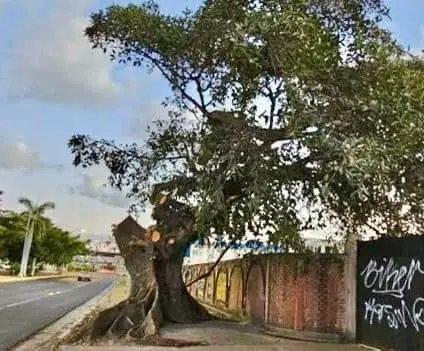 FOTO: Cortesía.