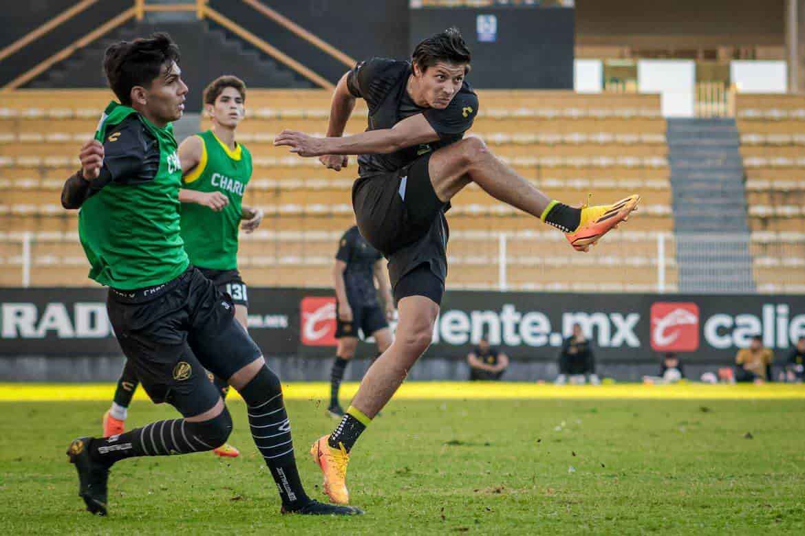 En Expansión MX, el volante mexicano ha formado parte de instituciones como Alebrijes de Oaxaca, Lobos, Zacatepec y Toros del Celaya.