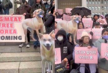 Corea del Sur finalmente prohíbe comer carne de perro