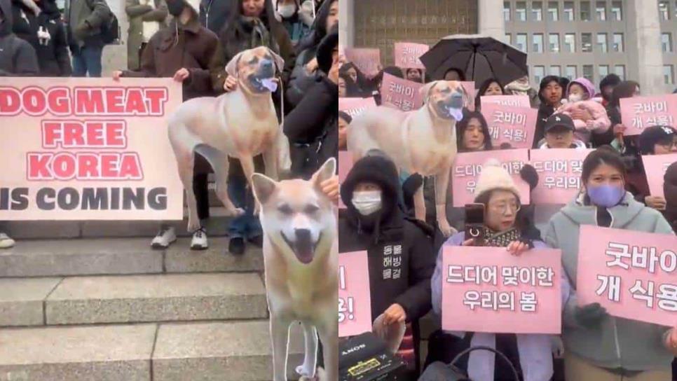 Corea del Sur finalmente prohíbe comer carne de perro