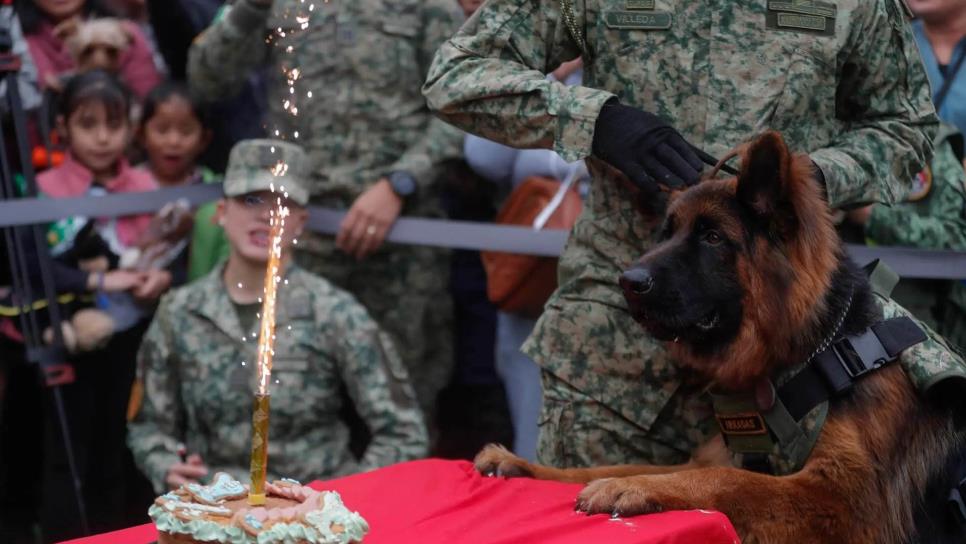 Arkadas, el perrito que donó Turquía, así celebró su primer aniversario |VIDEO