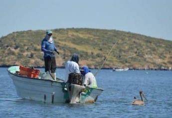 Pescadores de Mazatlán reportan baja en la pesca de sierra