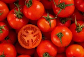 Por las nubes; el tomate se corona como el alimento con el mayor aumento de precio en el 2024