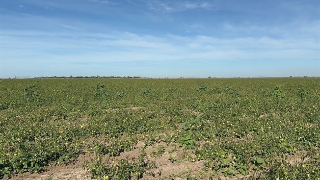 Imagen Placeholder Imagen Placeholder