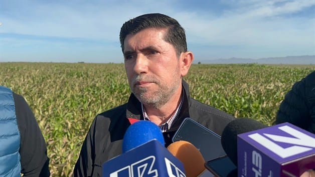 Imagen Placeholder Imagen Placeholder