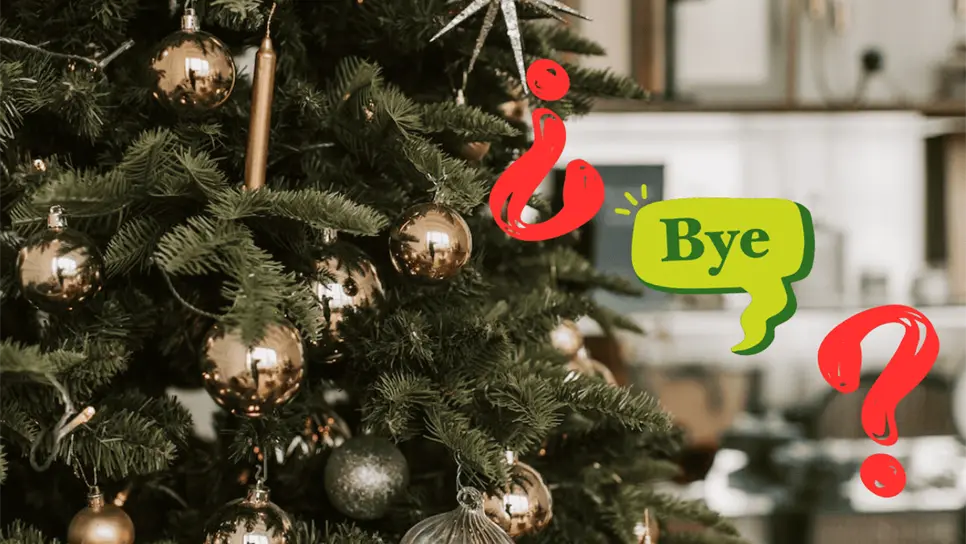 ¿Dónde reciclar tu pino navideño en Culiacán? Aquí te lo decimos. FOTO:Pexels