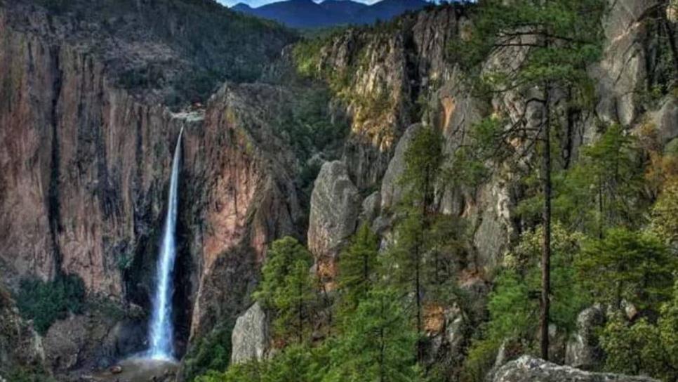 ¿Cuánto mide la cascada Basaseachi? La belleza natural que ha sorprendido por las nevadas