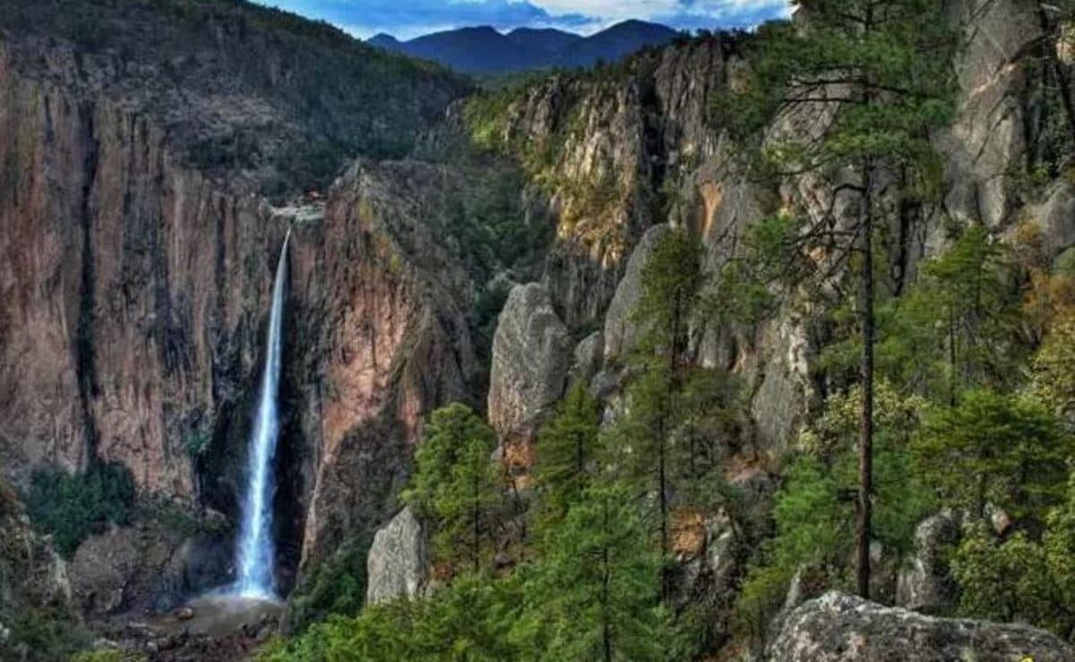 ¿Cuánto mide la cascada Basaseachi? La belleza natural que ha sorprendido por las nevadas