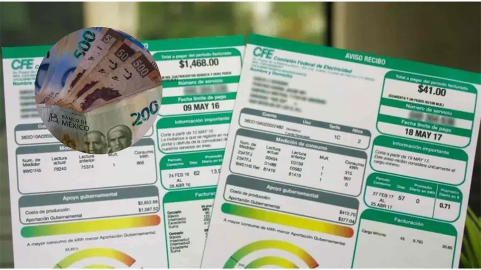 CFE: ¿Quiénes tendrán descuento del 50% en su recibo de luz?. | FOTO: Temática.